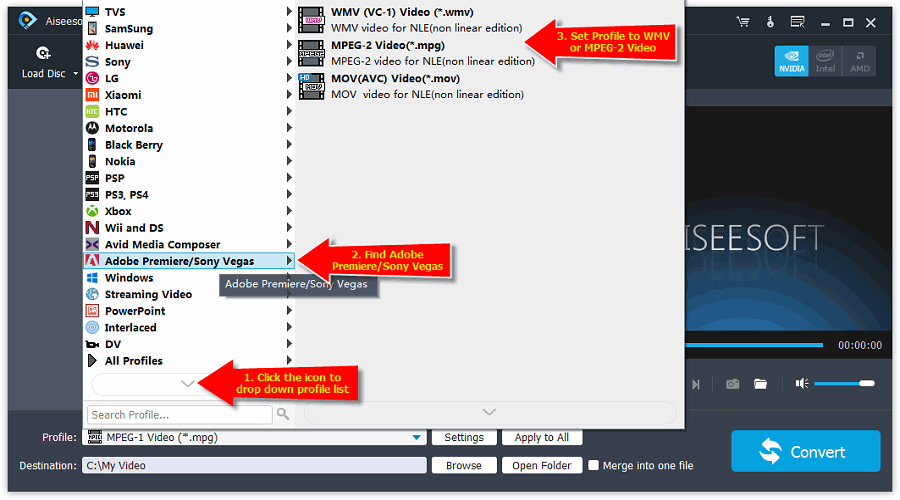 Set Sony Vegas supported video