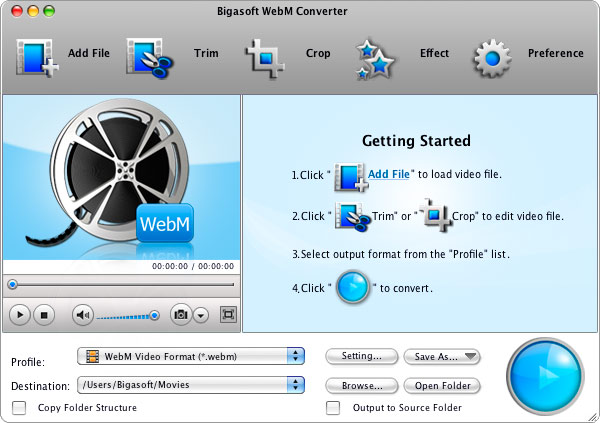 Screenshot of WebM Converter